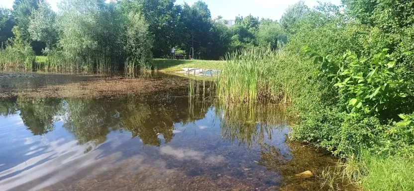 Prodej bytu 3+kk, Brno, Mírová, 78 m2