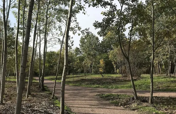 Prodej bytu 3+kk, Brno, Mírová, 78 m2