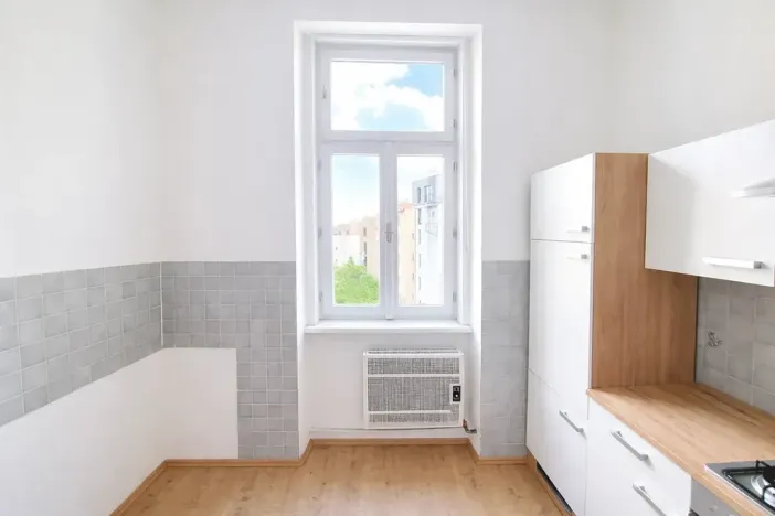 Pronájem bytu 1+1, Brno, bratří Čapků, 55 m2