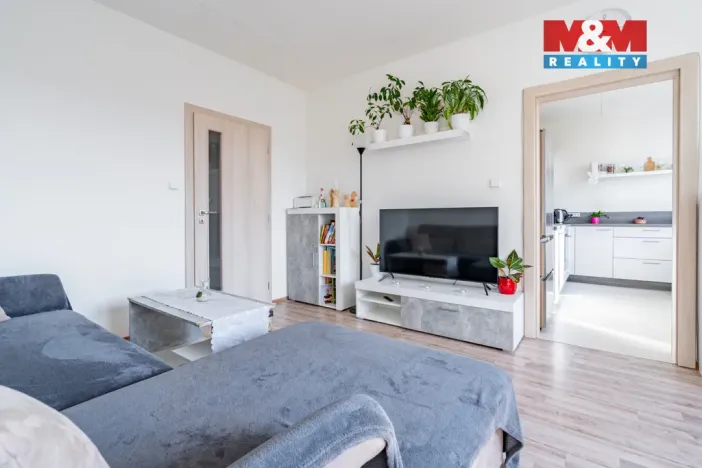 Prodej bytu 3+1, Písek - Pražské Předměstí, Na Pěníku, 67 m2