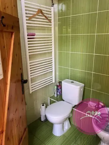 Pronájem obchodního prostoru, Olomouc, Karolíny Světlé, 55 m2