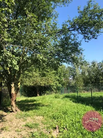 Pronájem zahrady, Olomouc, Jaselská, 200 m2