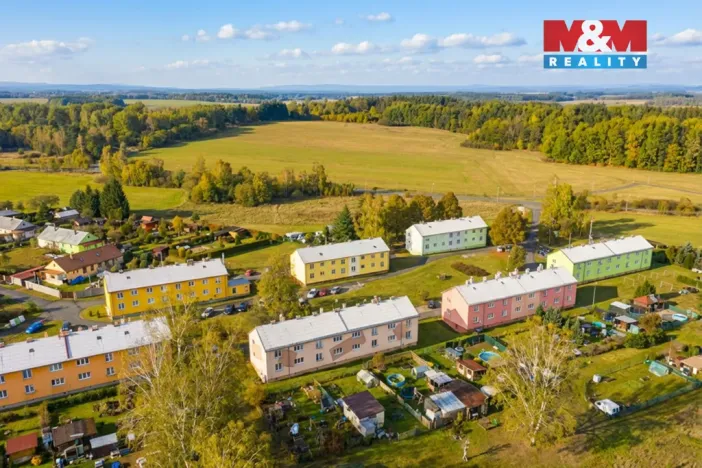 Prodej bytu 2+1, Bor - Vysočany, 63 m2