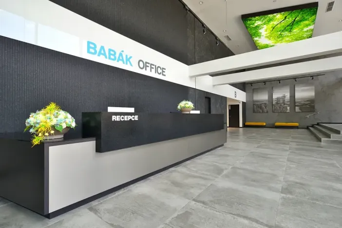 Pronájem kanceláře, Brno, Jana Babáka, 227 m2