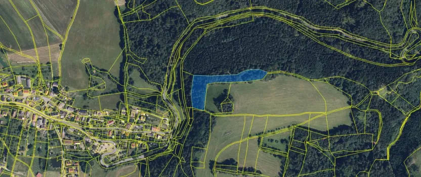 Prodej lesa, Zborov, 9290 m2
