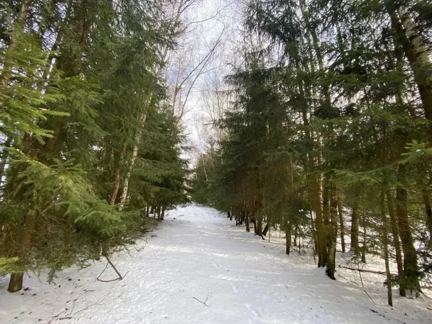 Prodej pozemku, Volfířov - Brandlín, 5958 m2