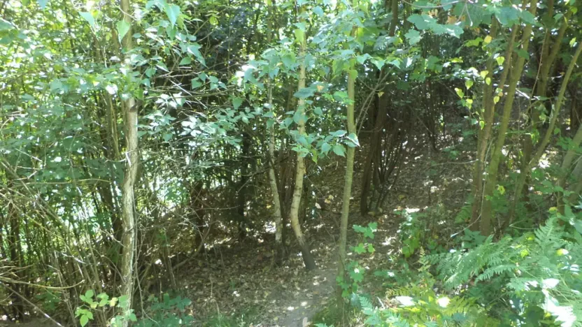 Prodej pozemku, Děčín, 675 m2