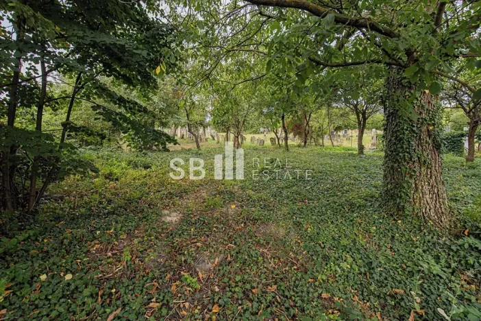 Prodej rodinného domu, Loštice, Vejmoly, 150 m2