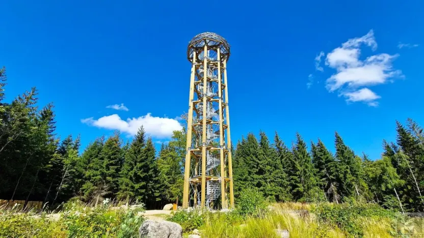 Prodej pozemku, Desná - Desná I, Údolní, 1668 m2