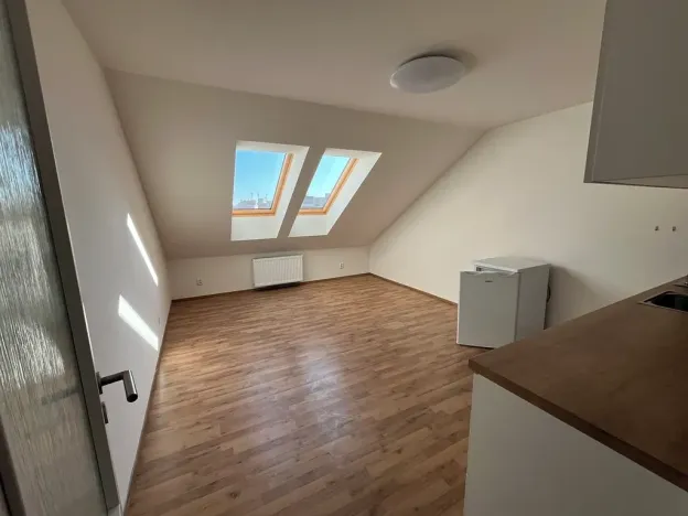 Pronájem bytu 1+kk, Brno, Vlhká, 31 m2