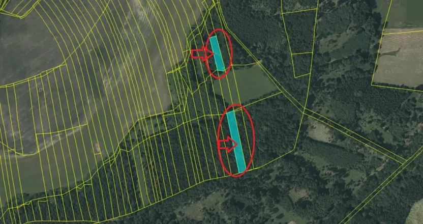 Prodej lesa, Olešník, 5100 m2