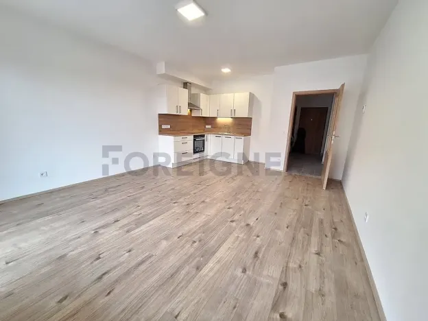 Pronájem bytu 2+kk, Olomouc, Wolkerova, 62 m2