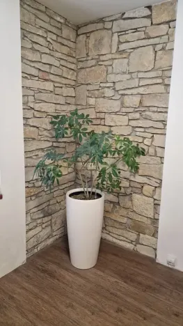 Prodej rodinného domu, Jeneč, A. Jiráska, 75 m2