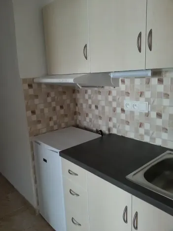 Pronájem bytu 1+kk, Praha - Vinohrady, Nad olšinami, 48 m2