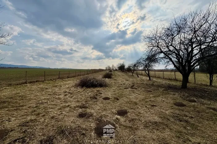 Prodej louky, Cetkovice, 3195 m2