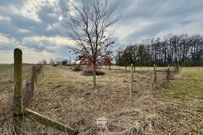 Prodej louky, Cetkovice, 3195 m2