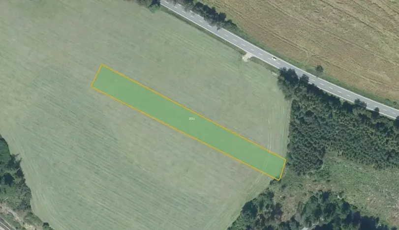 Prodej louky, Nové Dvory, 4111 m2