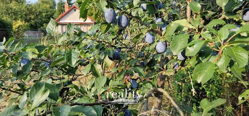 Prodej zahrady, Znojmo, Pražská zahr. C, 1985 m2