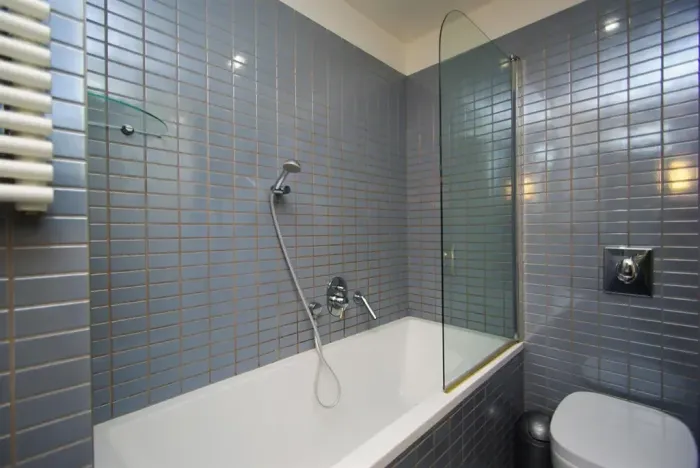 Pronájem bytu 2+kk, Praha - Žižkov, Prokopova, 58 m2