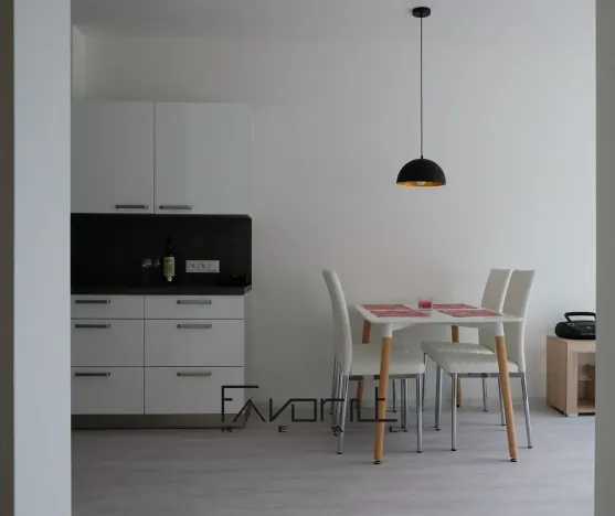 Pronájem bytu 2+kk, Ostrava, Pavlovova, 50 m2