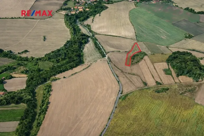 Prodej pole, Číčovice, 6121 m2