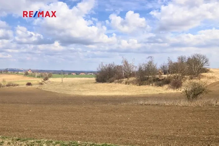 Prodej pole, Číčovice, 6121 m2