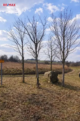 Prodej pole, Číčovice, 6121 m2