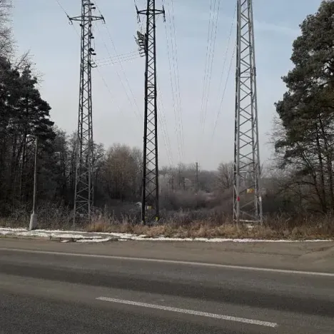 Prodej lesa, Řípec, 27546 m2