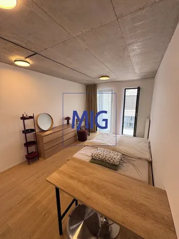 Pronájem bytu 1+kk, Brno, Bratislavská, 31 m2