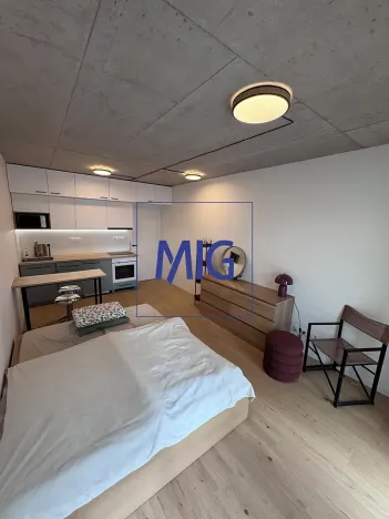 Pronájem bytu 1+kk, Brno, Bratislavská, 31 m2