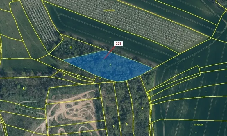 Dražba lesa, Jeviněves, 10319 m2