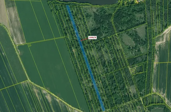 Dražba lesa, Břehov, 20146 m2