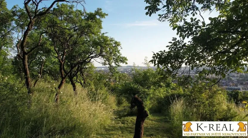 Prodej zahrady, Brno - Židenice, 1227 m2