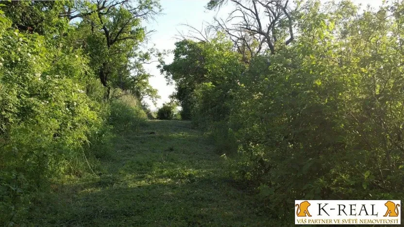 Prodej zahrady, Brno - Židenice, 1227 m2