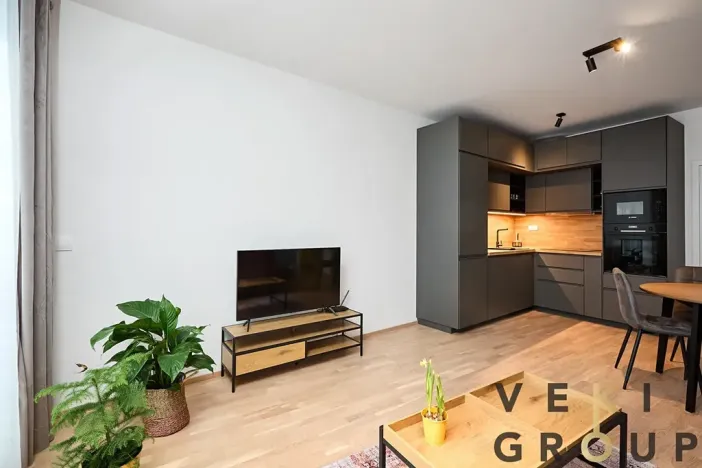 Pronájem bytu 2+kk, Praha - Karlín, Breitfeldova, 60 m2