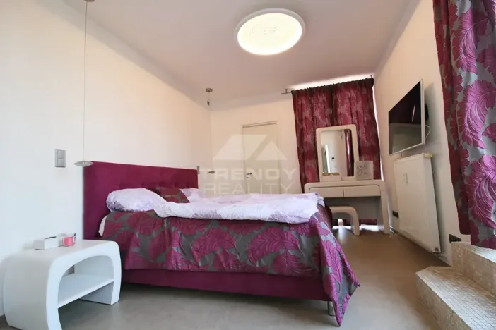 Pronájem bytu 3+kk, Plzeň, Goldscheiderova, 250 m2