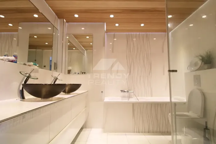 Pronájem bytu 3+kk, Plzeň, Goldscheiderova, 250 m2