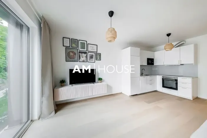 Pronájem bytu 2+kk, Praha, Ivana Hlinky, 60 m2