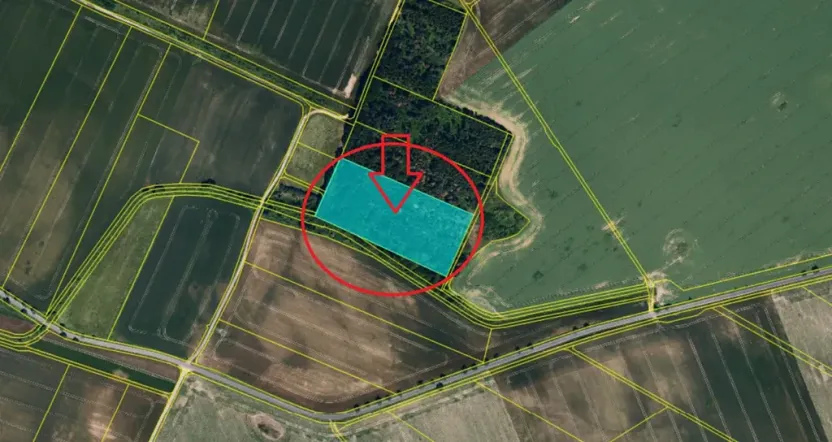 Prodej podílu lesa, Štítary, 3942 m2