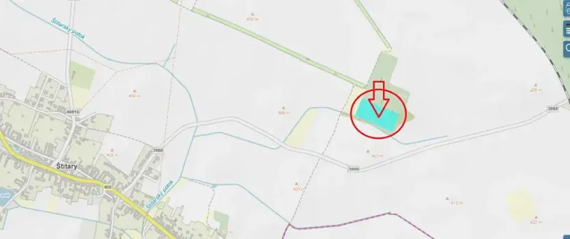 Prodej podílu lesa, Štítary, 3942 m2