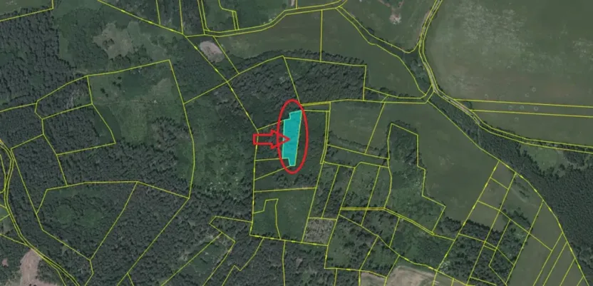 Prodej lesa, Milejovice, 2791 m2