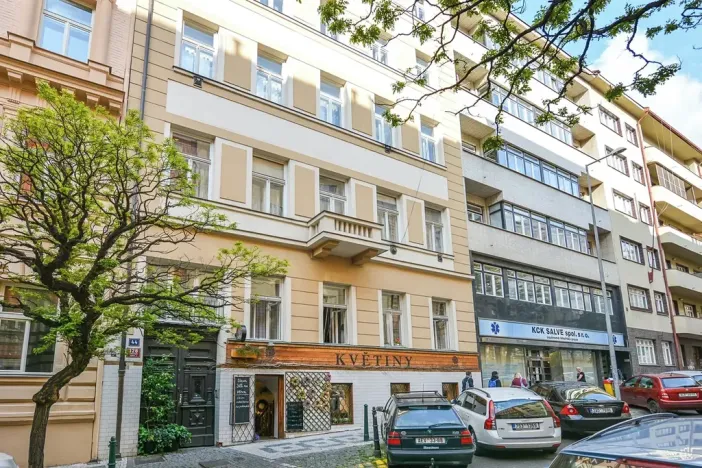 Pronájem bytu 2+kk, Praha - Vinohrady, Americká, 35 m2
