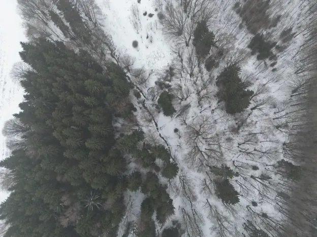 Prodej pozemku, Adršpach, 67106 m2