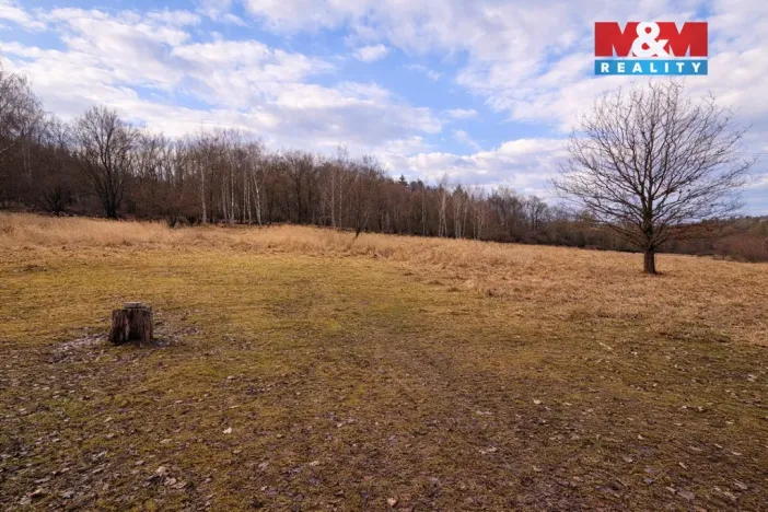 Prodej louky, Křečovice - Vlkonice, 68525 m2