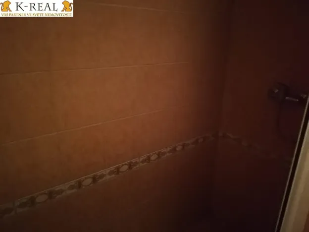 Pronájem bytu 1+kk, Brno - Bosonohy, 22 m2