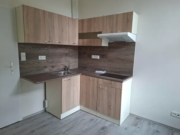 Pronájem bytu 1+kk, Praha - Žižkov, Krásova, 14 m2