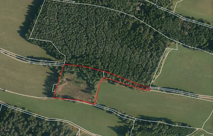 Prodej lesa, Strmilov, 8914 m2