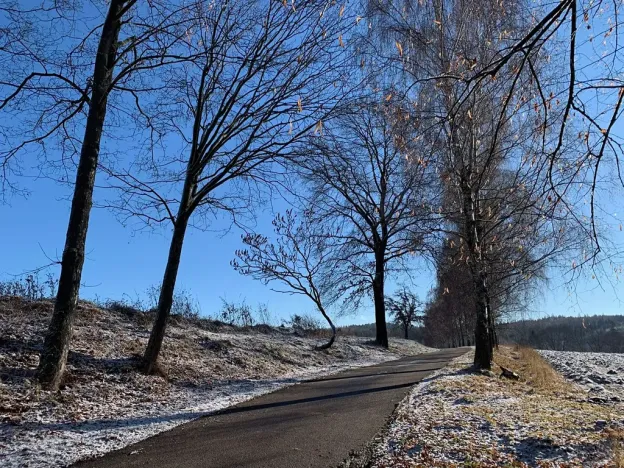 Prodej pozemku pro bydlení, Bystřice, 1046 m2
