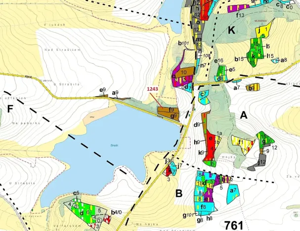 Dražba lesa, Nezdřev, 2662 m2