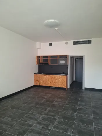 Pronájem bytu 1+kk, Praha, Pod altánem, 44 m2